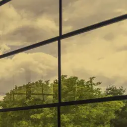 Close-up of a bronze vinyl window pane showing a warm-toned view of green trees.