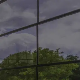 Close-up of a dark gray vinyl window pane showing a heavily shaded view of trees.